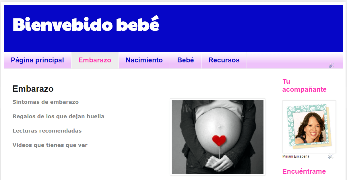 curso-bienvenido-bebe-plataforma