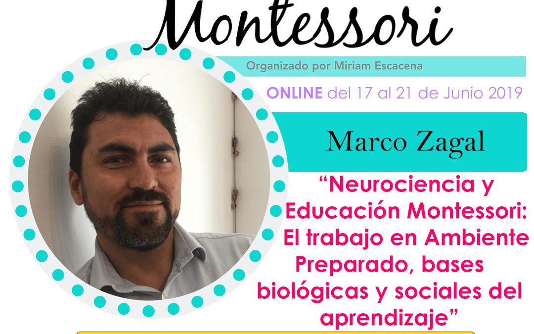 Neurociencia y Educación Montessori