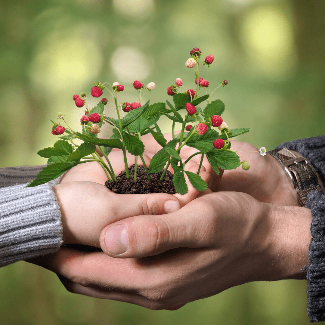 5 (1) desarrollo humano