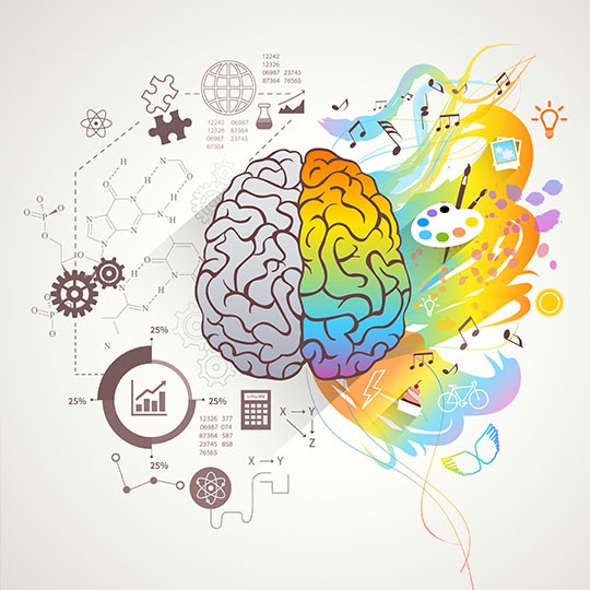 neurociencia-educativa neurociencia educativa