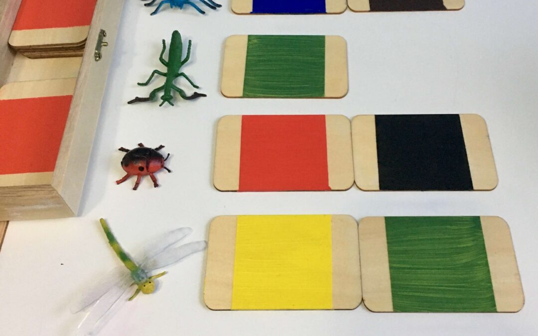 muestras de color con insectos - Cajas de Color Montessori