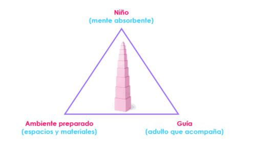 Adulto preparado, ambiente preparado y mente absorbente del niño