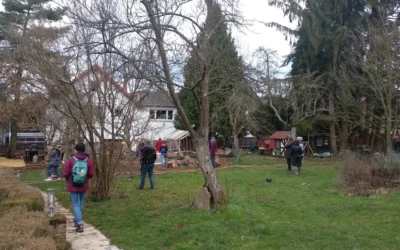 Cómo acompañar la adolescencia con Montessori