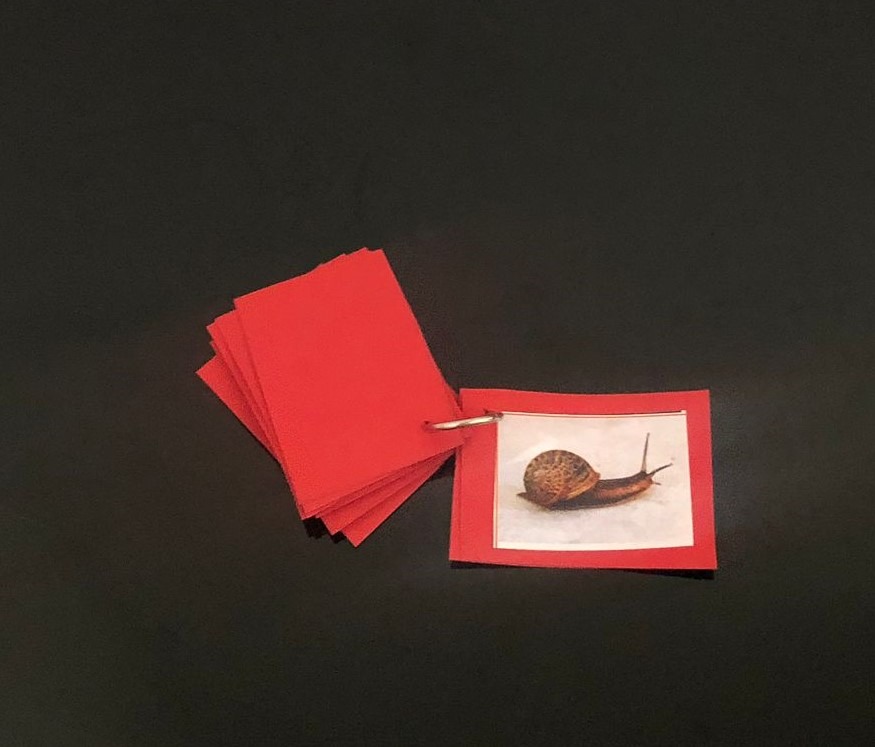 Imagen del libro con la letra C y la imagen del caracol para trabajar la presentación de las letras de lija Montessori