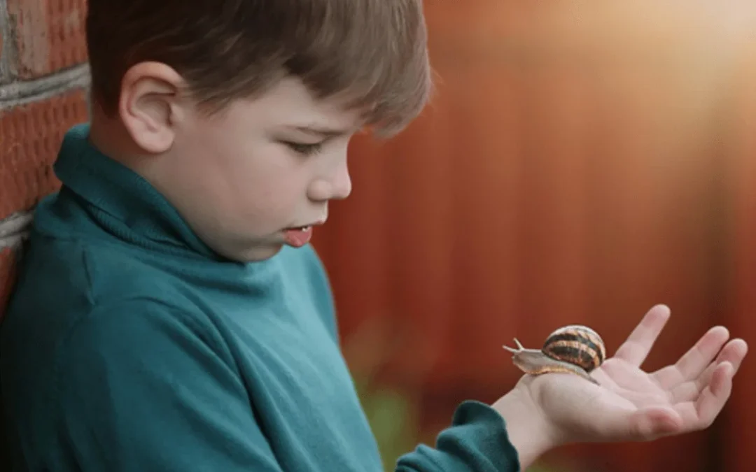 Las necesidades y las tendencias humanas desde la perspectiva Montessori ayudan a comprender el comportamiento humano