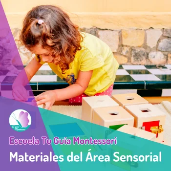 Clase en directo de la Escuela Montessori de Tu Guía Montessori sobre Materiales Montessori del área sensorial.