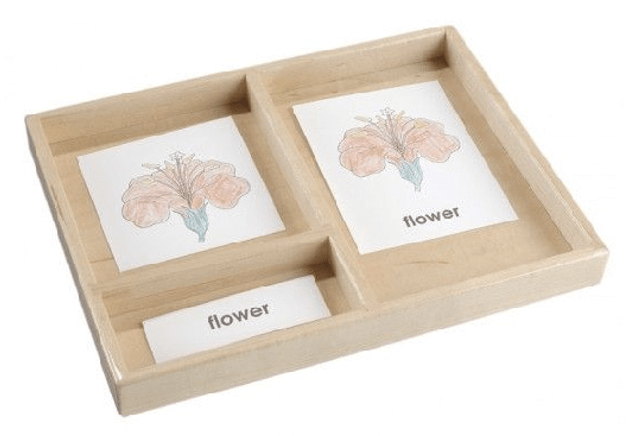 Tarjetas de tres partes Montessori: qué son y cómo se utilizan