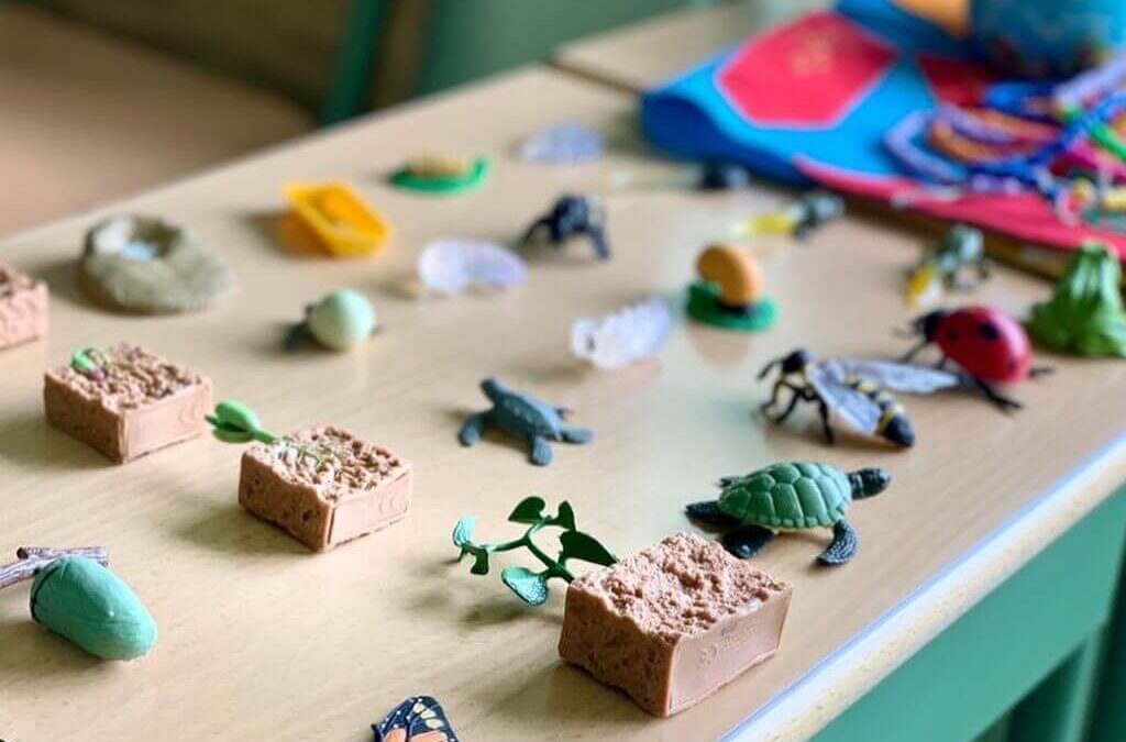 Como aprender sobre los ciclos de la vida con miniaturas Montessori