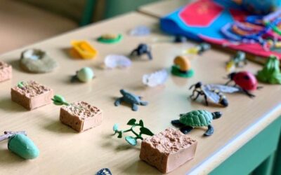 Como aprender sobre los ciclos de la vida con miniaturas Montessori