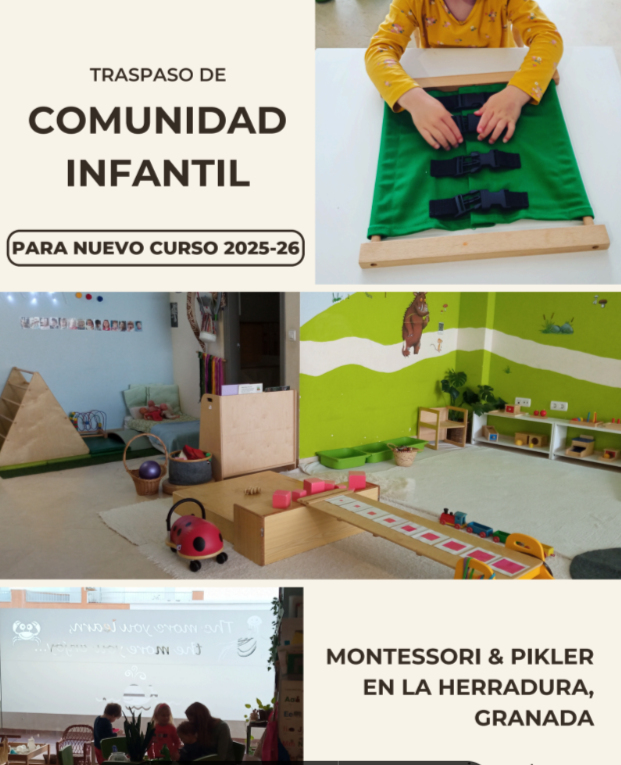 comunidad Oferta de trabajo de co-guía Montessori en Toluca, México