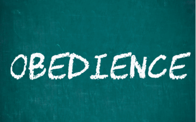 Erich Fromm y su reflexión sobre la capacidad de desobedecer