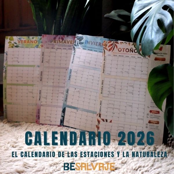 Amplio resumen del libro sobre Movimiento y postura de María del mar Sánchez y Lorena Gutiérrez