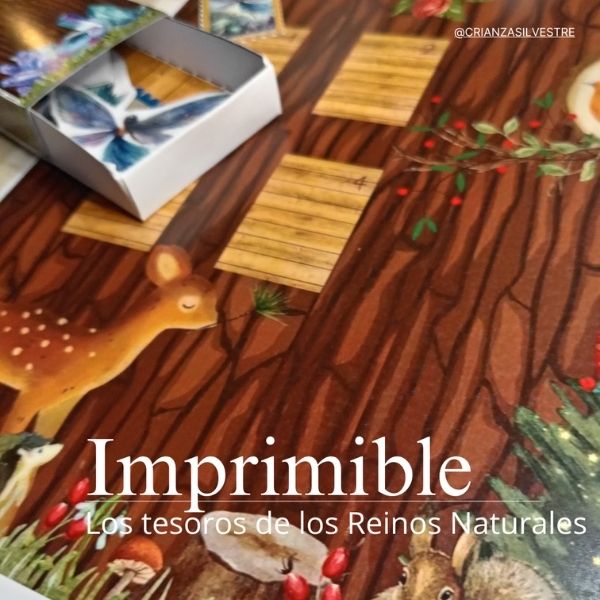 Lorena González te ayuda con su kit de desarrollo y estimulación en bebés - Bundle Educativo Tu Guia Montessori