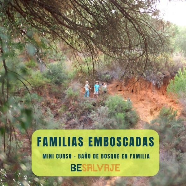 Lorena González te ayuda con su kit de desarrollo y estimulación en bebés - Bundle Educativo Tu Guia Montessori